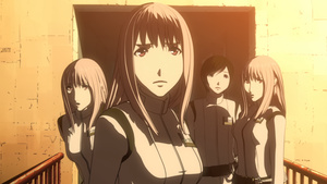 Knights of Sidonia